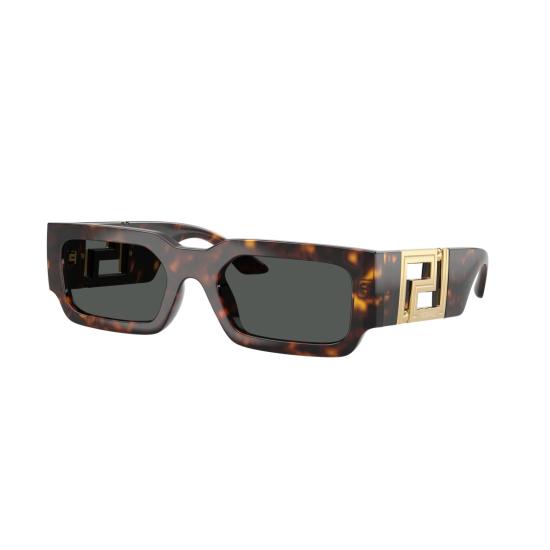 26SS 베르사체 선글라스 0Ve4506u 호피무늬 - VERSACE
