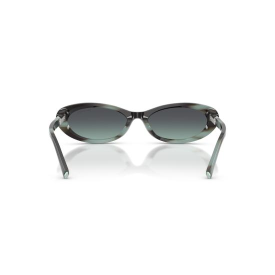 26SS 티파니앤코 선글라스 0Tf4250 아세테이트 타원형 - TIFFANY & CO