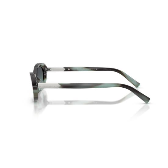 26SS 티파니앤코 선글라스 0Tf4250 아세테이트 타원형 - TIFFANY & CO