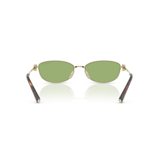 26SS 티파니앤코 선글라스 0Tf3115 직사각형 골드톤 스틸 - TIFFANY & CO