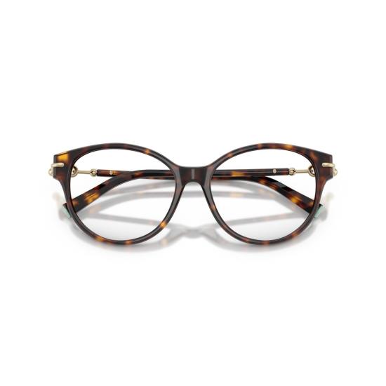 26SS 티파니앤코 선글라스 0Tf2289 클래식 호피무늬 아세테이트 안경 - TIFFANY & CO