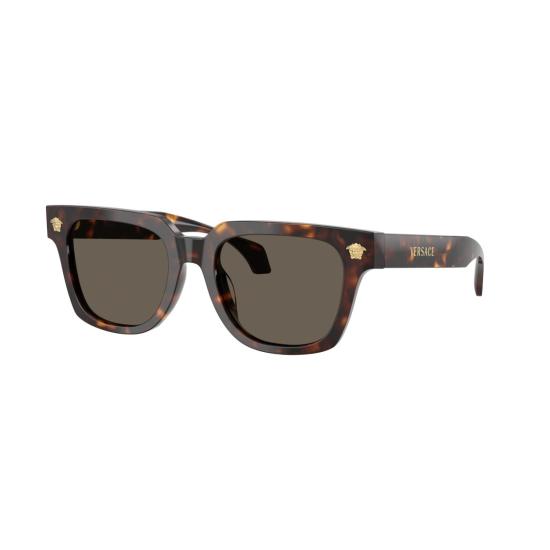 26SS 베르사체 선글라스 0Ve4510u 볼드 스퀘어 호피무늬 - VERSACE