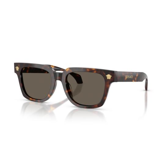 26SS 베르사체 선글라스 0Ve4510u 볼드 스퀘어 호피무늬 - VERSACE