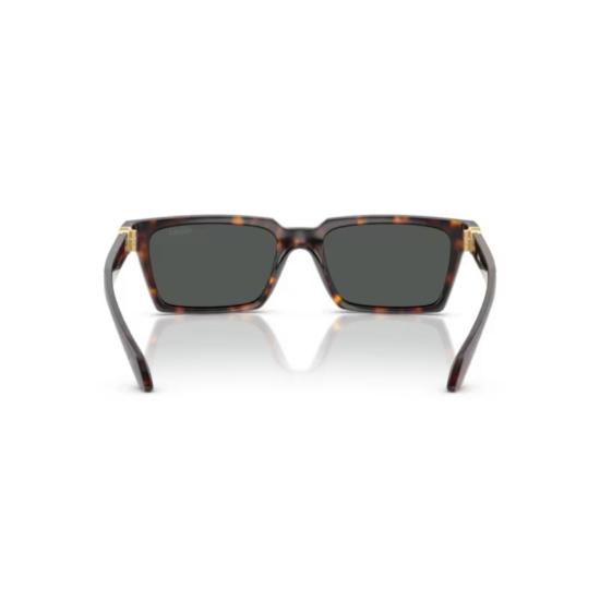 26SS 베르사체 선글라스 0Ve4490u 호피무늬 프레임 - VERSACE