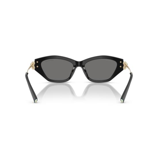 26SS 티파니앤코 선글라스 0Tf4231u 캣아이 - TIFFANY & CO