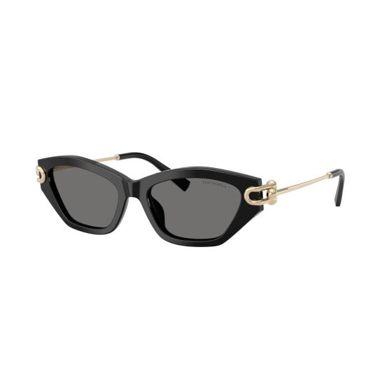 26SS 티파니앤코 선글라스 0Tf4231u 캣아이 - TIFFANY & CO