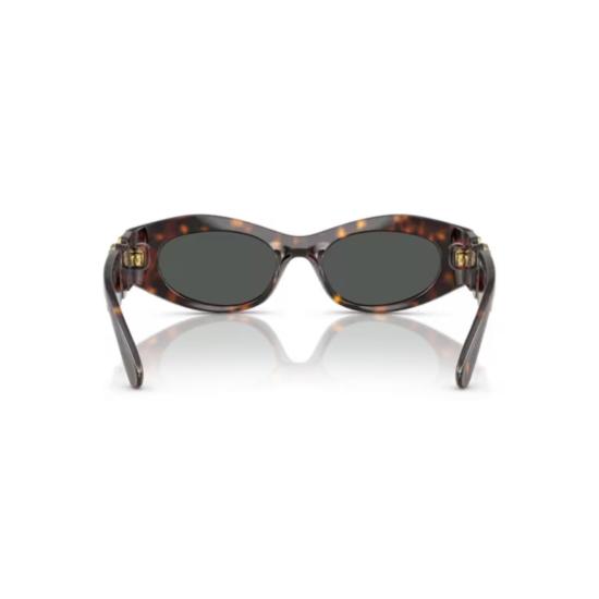 26SS 베르사체 선글라스 0Ve4480u 호피무늬 타원형 - VERSACE
