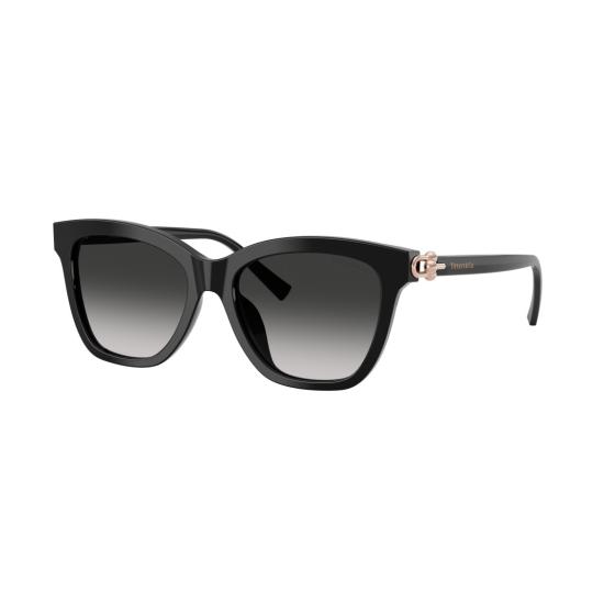 26SS 티파니앤코 선글라스 0Tf4241d 오버사이즈 스퀘어 - TIFFANY & CO
