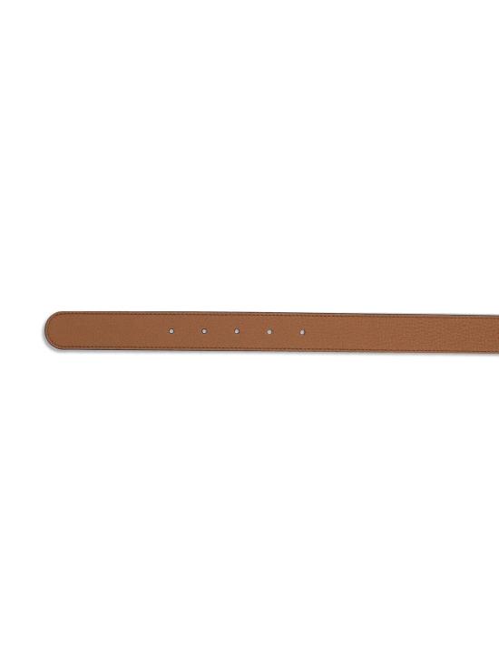 25FW 구찌 GG 마몽 벨트 847228AAEAO2718 brown - GUCCI