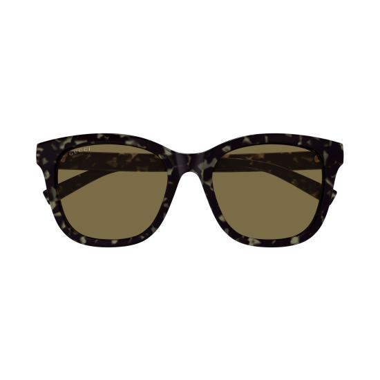 25FW 구찌 선글라스 GG1984SK 003 HAVANA HAVANA BROWN