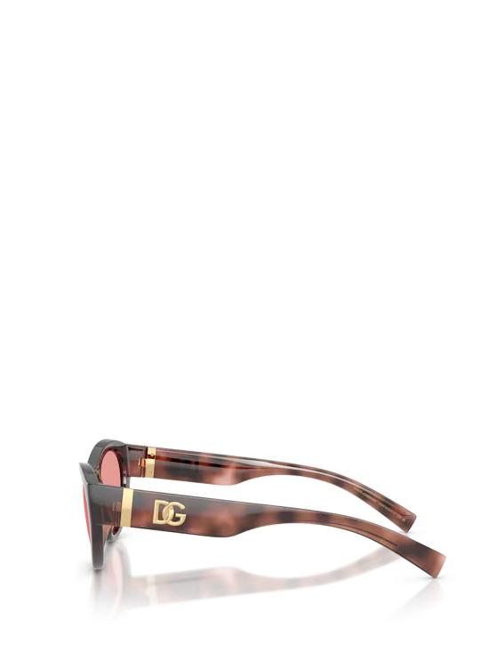 26FW 돌체앤가바나 선글라스 DG6207 347684 PINK HAVANA - DOLCE & GABBANA