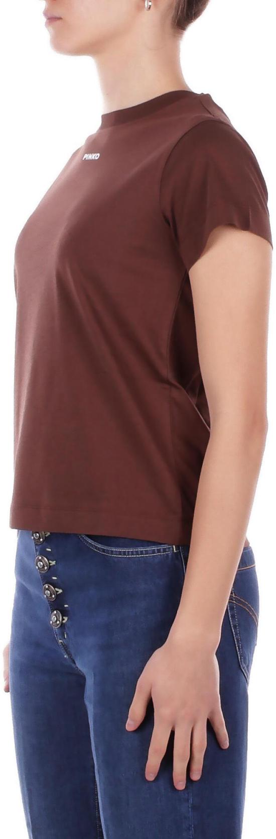 26SS 핑코 반팔 티셔츠 100373A34FL78 BROWN - PINKO