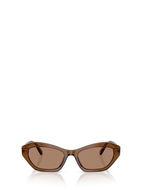 26FW 스와로브스키 선글라스 SK6048 108473 TRANSPARENT BROWN