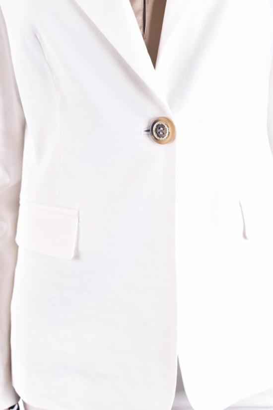  핑코 자켓 SIGMATICO1Z15 White - PINKO