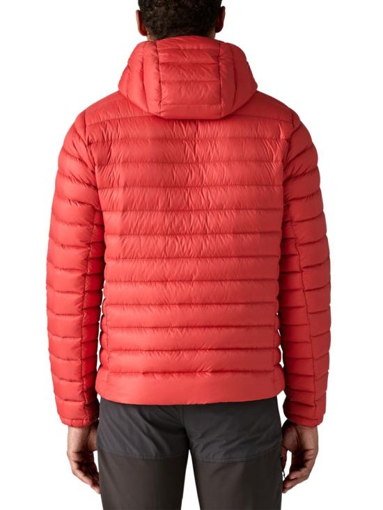 25FW 파타고니아 다운 스웨터 후디 84702 Red - PATAGONIA