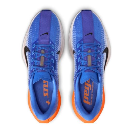  나이키 페가수스 플러스 FQ7262 403 DOM - NIKE