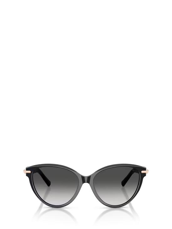 26FW 티파니앤코 선글라스 TF4261 80013C BLACK