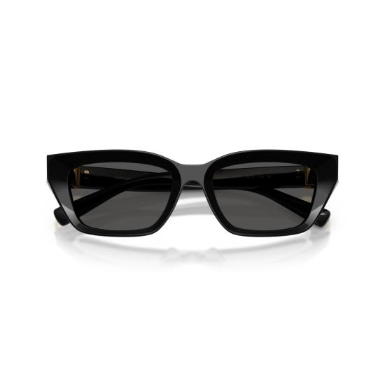 26SS 돌체앤가바나 선글라스 0Dg4532 유광 블랙 프레임 직사각형 - DOLCE & GABBANA