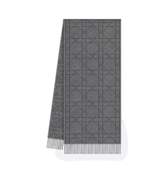 26SS 디올 머플러/스카프 61E0004A0016 Grey - DIOR