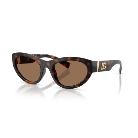 26SS 돌체앤가바나 선글라스 0Dg6207 호피무늬 캣아이  (골드톤 로고 디테일) - DOLCE & GABBANA