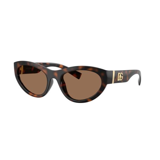 26SS 돌체앤가바나 선글라스 0Dg6207 호피무늬 캣아이  (골드톤 로고 디테일) - DOLCE & GABBANA