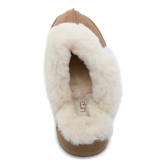 26FW 어그 디스케트 슬리퍼 1122550 CHE Chestnut - UGG