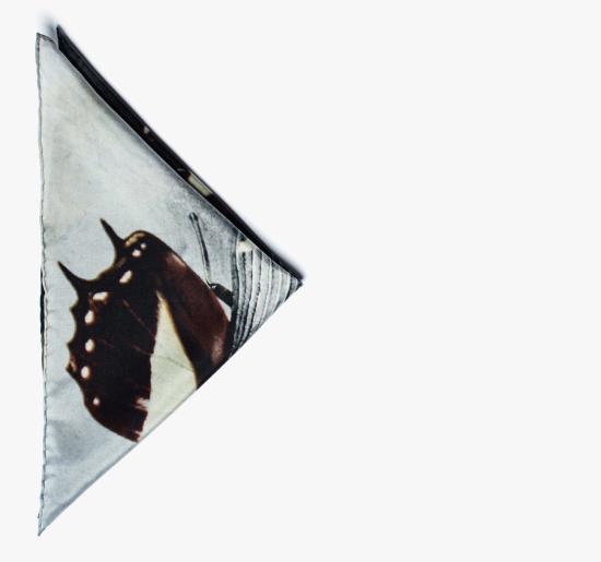  타이틀 오브 워크 머플러/스카프 작품 제목: 나방 돌연변이 포켓 스퀘어 - TITLE OF WORK
