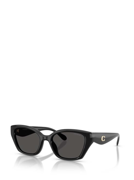 26FW 코치 선글라스 HC8434U 500287 BLACK - COACH