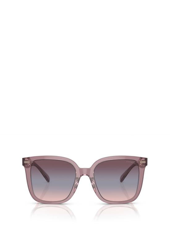 26FW 코치 선글라스 HC8381U 57820J PINK