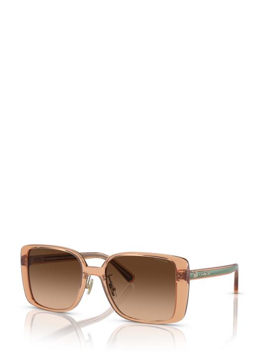 26FW 코치 선글라스 HC8375 574974 BROWN TRASPARENT - COACH