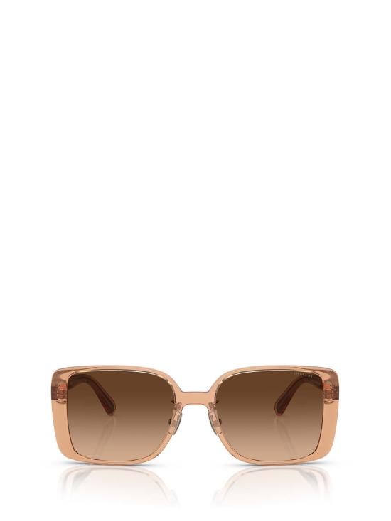 26FW 코치 선글라스 HC8375 574974 BROWN TRASPARENT