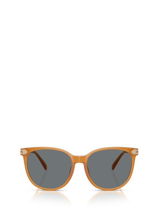 26FW 코치 선글라스 HC8414BD 585580 ORANGE