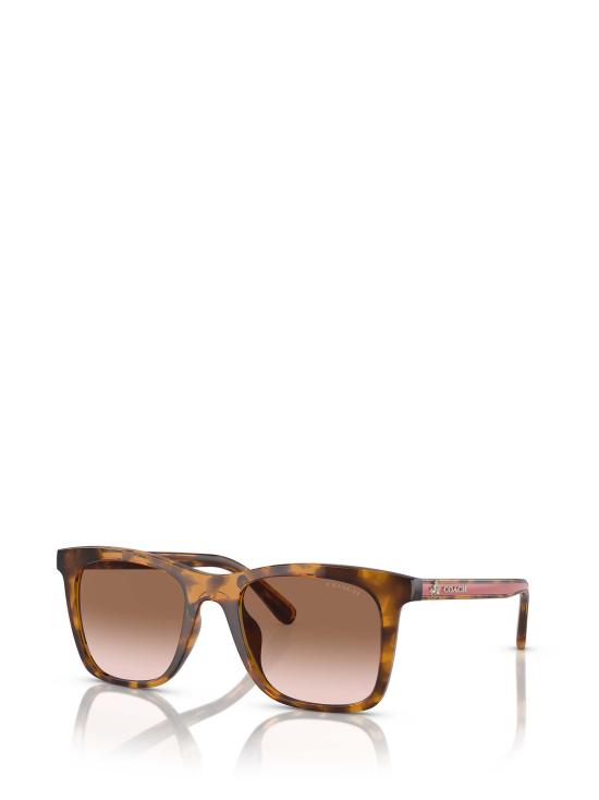 26FW 코치 선글라스 HC8374U 512013 HAVANA - COACH