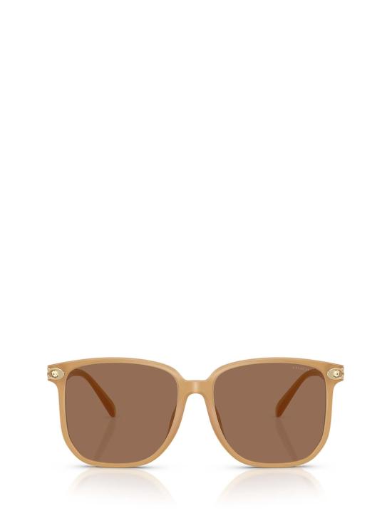 26FW 코치 선글라스 HC8413BD 585473 BROWN