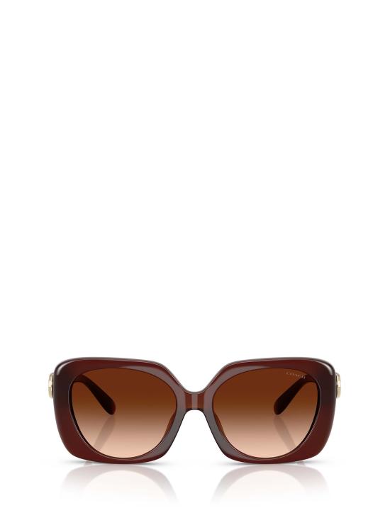 26FW 코치 선글라스 HC8422U 584174 BROWN