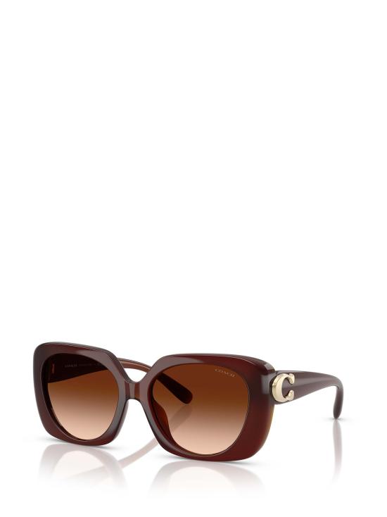 26FW 코치 선글라스 HC8422U 584174 BROWN - COACH