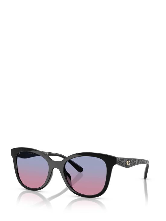 26FW 코치 선글라스 HC8419U 500218 BLACK - COACH