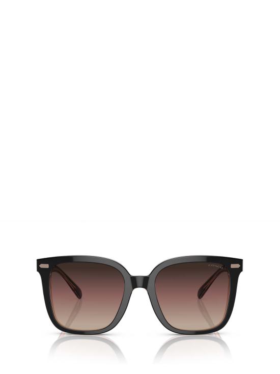 26FW 코치 선글라스 HC8381U 5781E2 BLACK