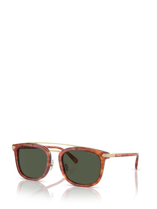 26FW 코치 선글라스 HC8382 577482 HAVANA - COACH