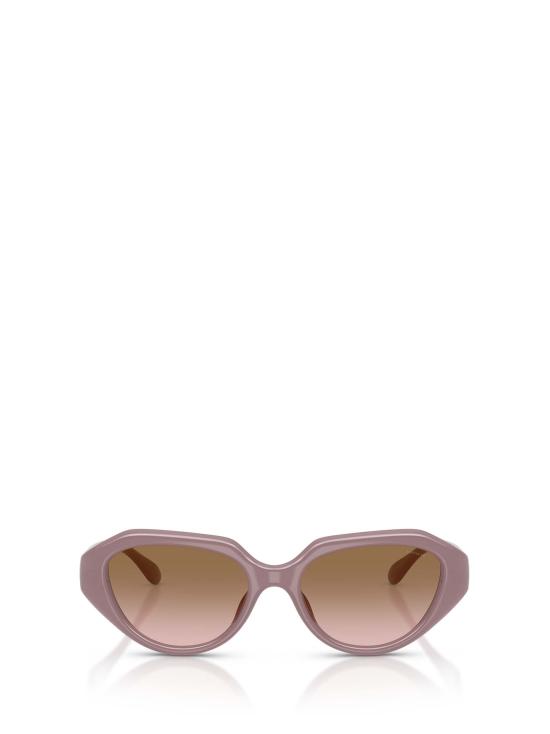 26FW 코치 선글라스 HC8433U 549511 BROWN
