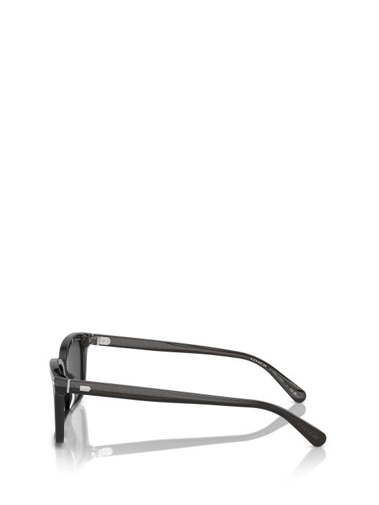 26FW 코치 선글라스 HC8398U 581787 BLACK - COACH