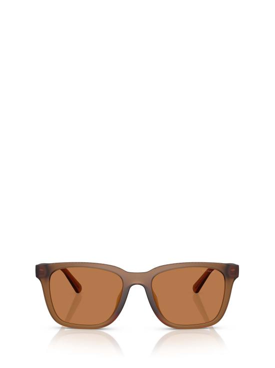 26FW 코치 선글라스 HC8426U 587673 BROWN