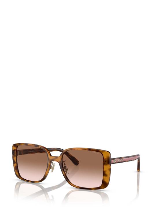 26FW 코치 선글라스 HC8375 512013 HAVANA - COACH