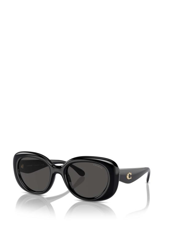 26FW 코치 선글라스 HC8391U 500287 BLACK - COACH