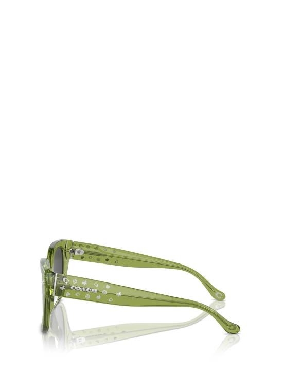 26FW 코치 선글라스 HC8392U 581087 GREEN - COACH