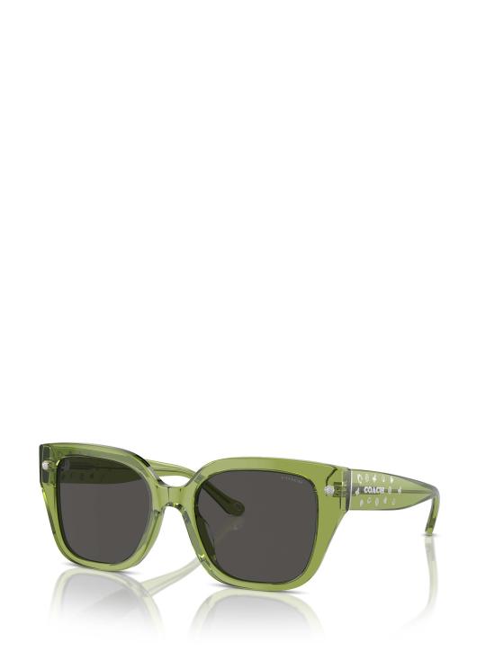 26FW 코치 선글라스 HC8392U 581087 GREEN - COACH