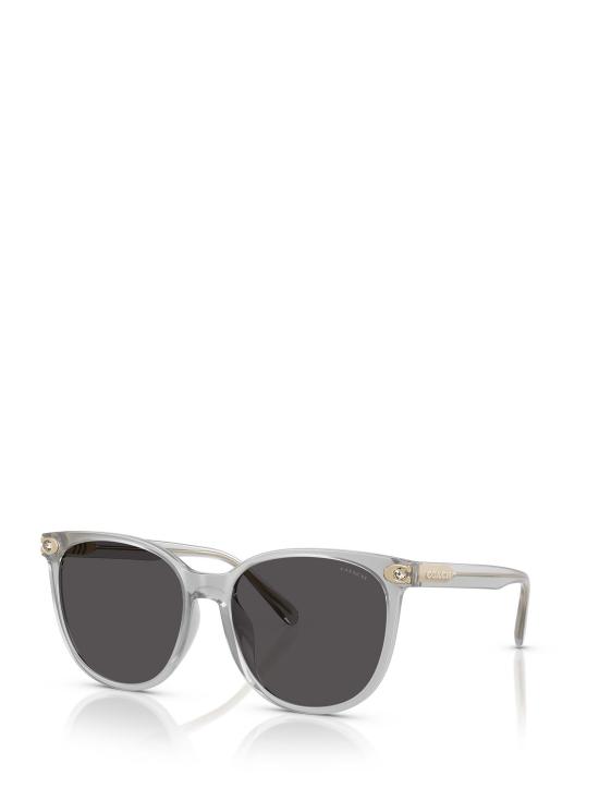 26FW 코치 선글라스 HC8414BD 561487 GREY TRASPARENT - COACH