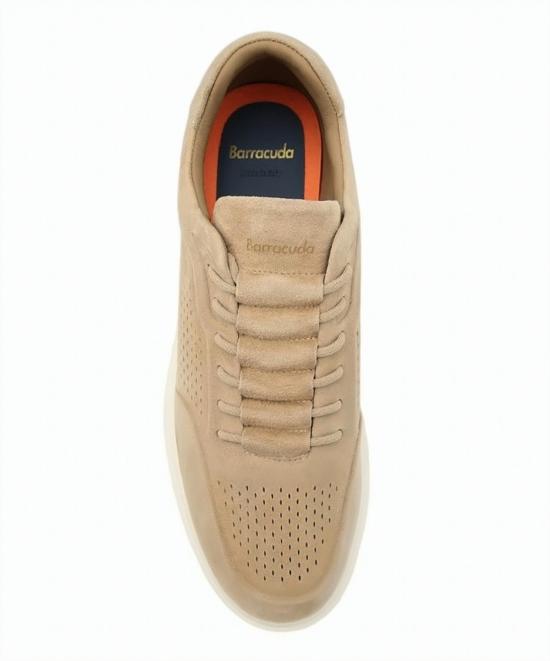 26SS 베라쿠다 스니커즈 BU3612 TABACCO Neutrals - BARRACUDA