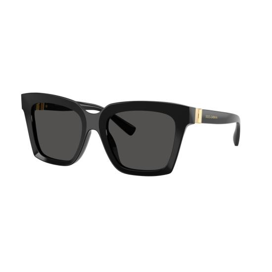 26SS 돌체앤가바나 선글라스 0Dg4498 오버사이즈 호피무늬 사각  (그라데이션 렌즈) - DOLCE & GABBANA