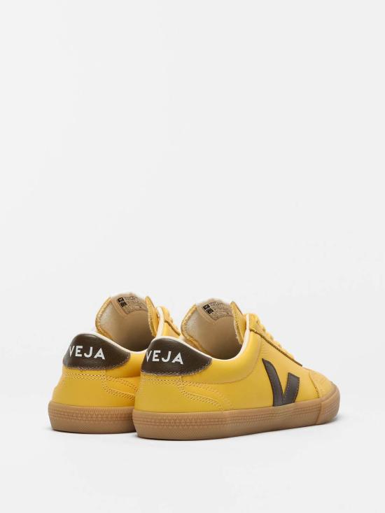26SS 베자 스니커즈 VO2021434 Multicolour - VEJA